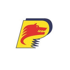 SNP — OMV Petrom
